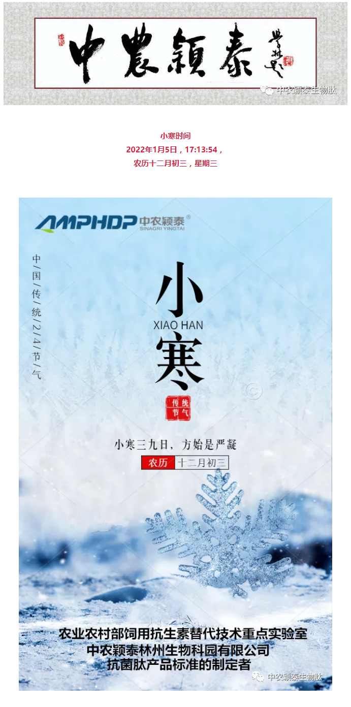 2022年（第2期）：小寒今日至，年味已冒頭_01