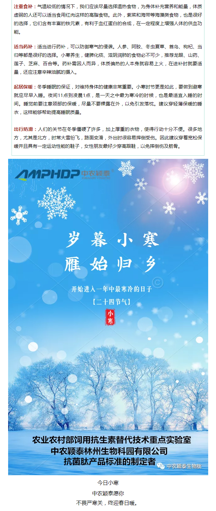 2022年（第2期）：小寒今日至，年味已冒頭_04