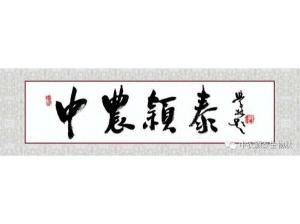 2021年：工作動態，中農穎泰工會順利換屆
